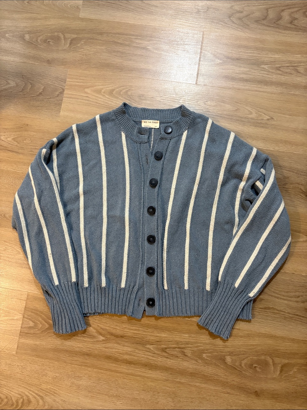 Free People Blue and Cream Vertical Stripe Button Cardigan